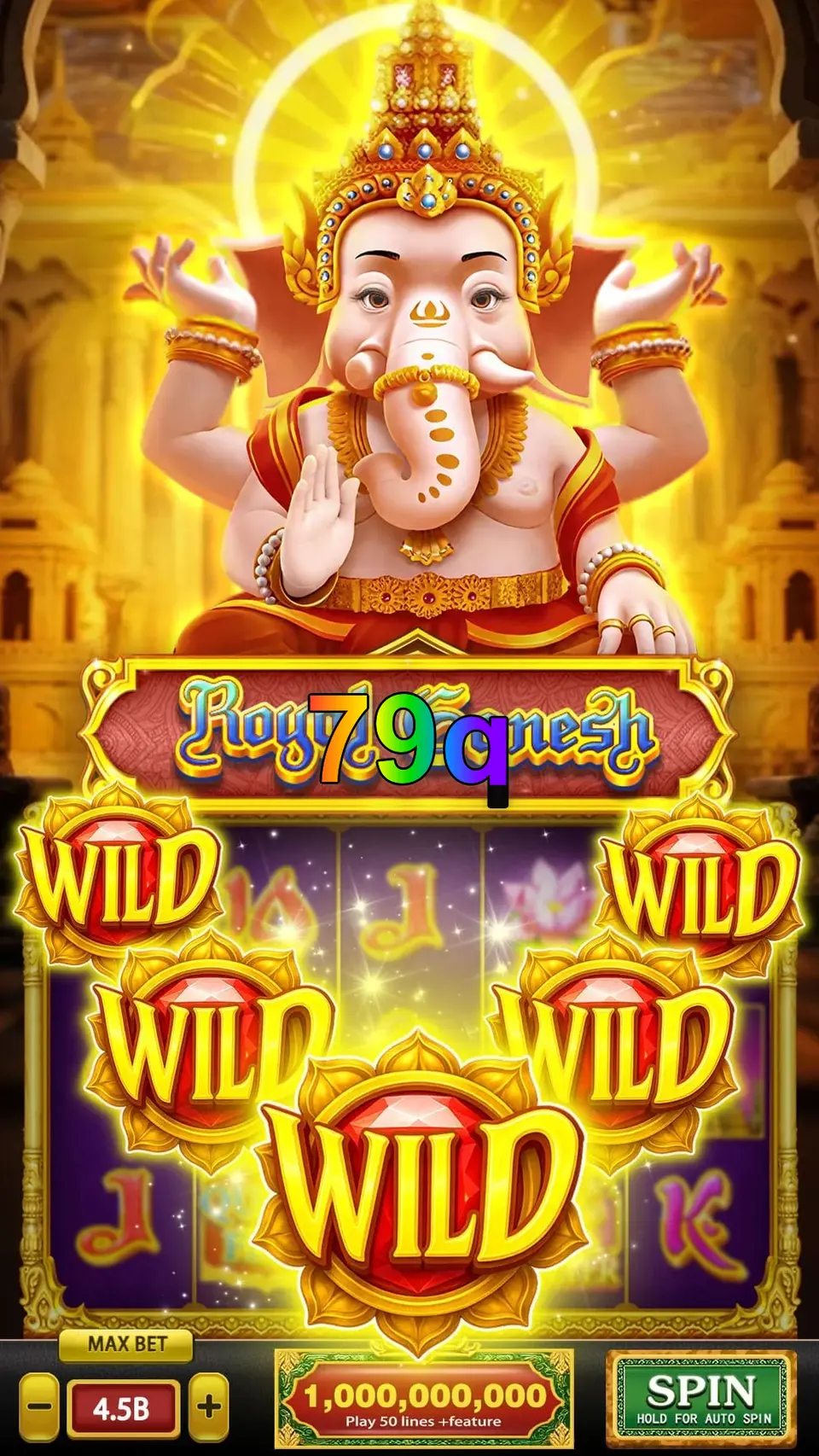 79q Login